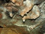 Grupo Mineralógico de Alicante. Minas de Hierro. Cabezo Gordo de Torrepacheco. Murcia    