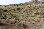 Grupo Mineralógico de Alicante. Paraje Piedra Negra. Jijona Alicante.  