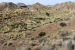 Grupo Mineralógico de Alicante. Paraje Piedra Negra. Jijona Alicante.  