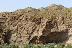 Grupo Mineralógico de Alicante.  Ópalo con Dendritas.Paraje Piedra Negra. Jijona Alicante. 