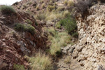 Grupo Mineralógico de Alicante. Paraje Piedra Negra. Jijona Alicante.  