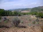 Grupo Mineralógico de Alicante. Mina San Antonio.  Cehegin. Murcia  