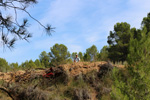 Grupo Mineralógico de Alicante. Mina San Antonio.  Cehegin. Murcia 