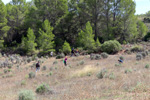 Grupo Mineralógico de Alicante. Mina San Antonio.  Cehegin. Murcia  