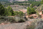 Grupo Mineralógico de Alicante. Mina San Antonio.  Cehegin. Murcia  