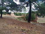 Grupo Mineralógico de Alicante. Collado de la Plata. ALbarracín. Teruel 