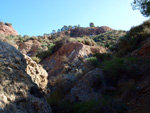 Grupo Mineralógico de Alicante.Sierra de Albatera. Hondón de los Frailes. Alicante   