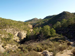 Grupo Mineralógico de Alicante.Sierra de Albatera. Hondón de los Frailes. Alicante  