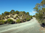 Grupo Mineralógico de Alicante.Sierra de Albatera. Hondón de los Frailes. Alicante  