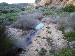 Grupo Mineralógico de Alicante. Antiguas explotaciones de yesos del Mesiniense en Benejuzar. Alicante  