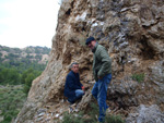 Grupo Mineralógico de Alicante.   Minas de Hierro.  Cabezo Gordo de Torrepacheco. Murcia  