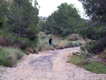 Grupo Mineralógico de Alicante.   Antiguas explotaciones de yesos del Mesiniense en Benejuzar. Alicante  