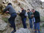 Grupo Mineralógico de Alicante. Antiguas explotaciones de yesos del Mesiniense en Benejuzar. Alicante 