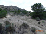 Grupo Mineralógico de Alicante. Antiguas explotaciones de yesos del Mesiniense en Benejuzar. Alicante 