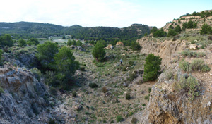 Grupo Mineralógico de Alicante. Antiguas explotaciones de yesos del Mesiniense en Benejuzar. Alicante  