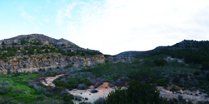 Grupo Mineralógico de Alicante. Antiguas explotaciones de yesos del Mesiniense en Benejuzar. Alicante  