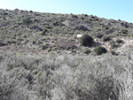 Grupo Mineralógico de Alicante. Barranco las Nogueras. Campos de Golf. Portman. Murcia  