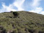 Grupo Mineralógico de Alicante. Barranco las Nogueras. Campos de Golf. Portman. Murcia  