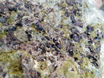 Grupo Mineralógico de Alicante.Granates, Cuarzo, Clinozoisita. Los Serranos. Hondón de los Frailes. Alicante 