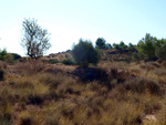 Grupo Mineralógico de Alicante. Afloramiento de Aragonitos. Casas de Ves. Albacete   