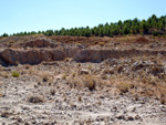 Grupo Mineralógico de Alicante. Afloramiento de Aragonitos. Casas de Ves. Albacete   