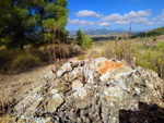 Grupo Mineralógico de Alicante. La Javalina. Cehegín. Murcia  