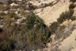 Grupo Mineralógico de Alicante. Explotación de áridos Casablanca. San Vicente del Raspeig. Alicante   