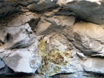Grupo Mineralógico de Alicante.  Coto Minero de Hellín. Las Minas de Azufre    
