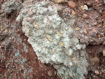Grupo Mineralógico de Alicante. Yacimiento de Aragonitos de Loma Badá. Petrer. Alicante   