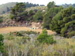 Grupo Mineralógico de Alicante. Mina San Francisco. Tibi. Alicante