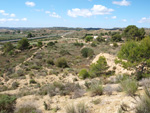 Grupo Mineralógico de Alicante. Alrededores Sierra de las Aguilas. La Alcoraia. Alicante