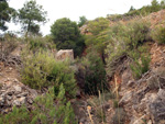Grupo Mineralógico de Alicante. Mina Virgen del Pilar. La Sabinilla. Campo Arcis. Requena. Valencia