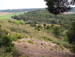 Grupo Mineralógico de Alicante. Mina Virgen del Pilar. La Sabinilla. Campo Arcis. Requena. Valencia