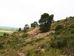 Grupo Mineralógico de Alicante.Mina Virgen del Pilar. La Sabinilla. Campo Arcis. Requena. Valencia 