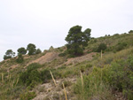 Grupo Mineralógico de Alicante.Mina Virgen del Pilar. La Sabinilla. Campo Arcis. Requena. Valencia 