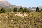 Grupo Mineralógico de Alicante. Trias de Els Campellets. Castalla Internacional. Castalla. Alicante