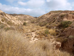 Grupo Mineralógico de Alicante. Gravera Santa Eulalia. La Cabezuelas. Totana. Murcia
