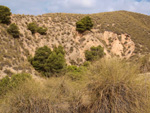 Grupo Mineralógico de Alicante. Gravera Santa Eulalia. La Cabezuelas. Totana. Murcia