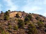 Grupo Mineralógico de Alicante. Trias de finestrat. Alicante