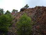 Grupo Mineralógico de Alicante. Explotacion de Ofitas. Sierra de Olta. Calpe.. Alicante