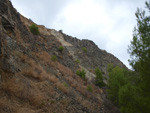 Grupo Mineralógico de Alicante. Explotacion de Ofitas. Sierra de Olta. Calpe.. Alicante 