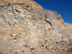 Grupo Mineralógico de Alicante. Explotación de de áridos de Holcin. El Cabezonet. Busot. Alicante

