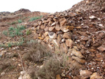 Grupo Mineralógico de Alicante.  Aragonito.  Minería de Hierro. Cabecico del Rey. Valladolises. Murcia  