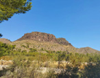 Grupo Mineralógico de Alicante. Minas del Coto Menor. Hellín. Albacete