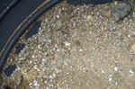 Grupo Mineralógico de Alicante. Bateo de oro. Navasfrias. Zamora 