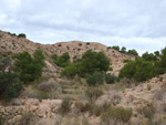 Grupo Mineralógico de Alicante. Inmediaciones camino del Acebuche. La Alcoraia. Alicantee