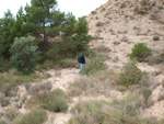 Grupo Mineralógico de Alicante.  Inmediaciones camino del Acebuche. La Alcoraia. Alicantee 