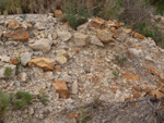 Grupo Mineralógico de Alicante.  Inmediaciones camino del Acebuche. La Alcoraia. Alicantee 