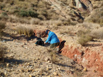 Grupo Mineralógico de Alicante. Afloramiento de Aragonito. Loma Bada. Petrer.  Alicante