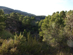 Grupo Mineralógico de Alicante. Cantera de Áridos Barranc de Cabiafic. Aigues de Busot. Alicante